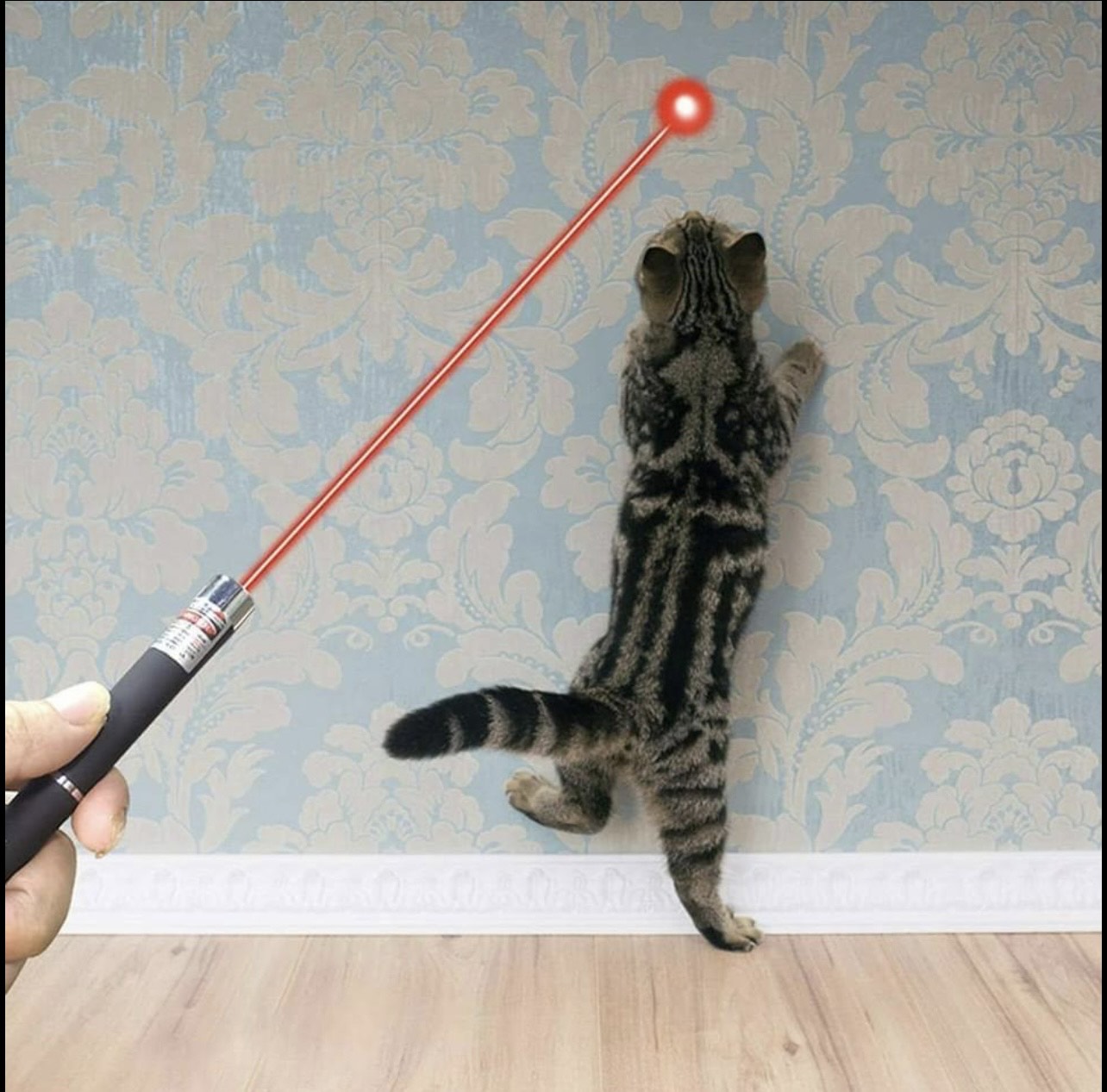 Laser Pointer for Cats, Dogs, 3 Pack Laser Pointer Cat Toy for Indoor Cats Laser Toy Pet Cats Dogs Chaser Laser Light Toy